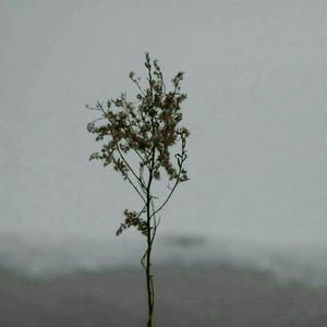 柳州莫菁囗交全套高清图片
