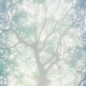 柳州莫菁囗交全套高清图片
