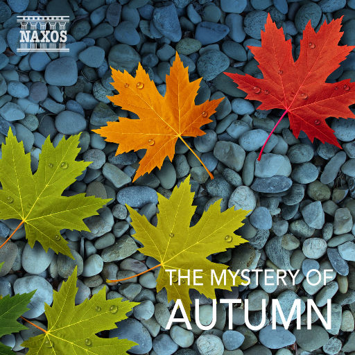 柳州莫菁囗交全套高清图片
